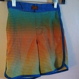 Boys Multicolor Swim Shorts